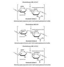 Хондроитиназа C из лиофилизированного порошка Flavobacterium heparinum, 200 Единиц / мг твердого вещества Sigma C0954