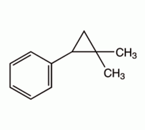 2,2-Диметилциклопропилбензол, 99%, Alfa Aesar, 5 г