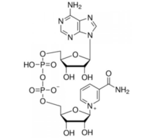 -никотинамидадениндинуклеотидгидрат степени AA-1, 95% (ВЭЖХ) Sigma N7381
