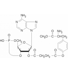 2'-O-Моносукциниладенозин 3 ': 5'-циклический монофосфатный тирозилметиловый эфир ~ 95% Sigma M2257