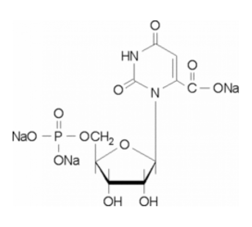 Тринатриевая соль оротидина 5'-монофосфата 99% (ВЭЖХ), порошок Sigma O1376