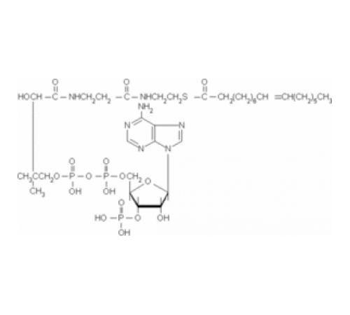 Пальмитолеоил-кофермент А литиевая соль ~ 90% Sigma P6775