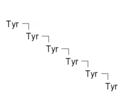 Тир-Тир-Тир-Тир-Тир-Тир 98% (ВЭЖХ) Sigma T1780