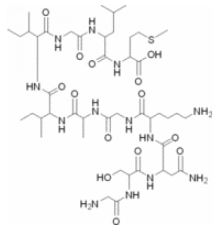 Амилоидный -фрагмент белка 25-35 97% (ВЭЖХ) Sigma A4559