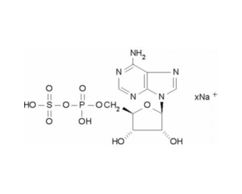 Аденозин-5'-фосфосульфат натриевая соль 85% Sigma A5508
