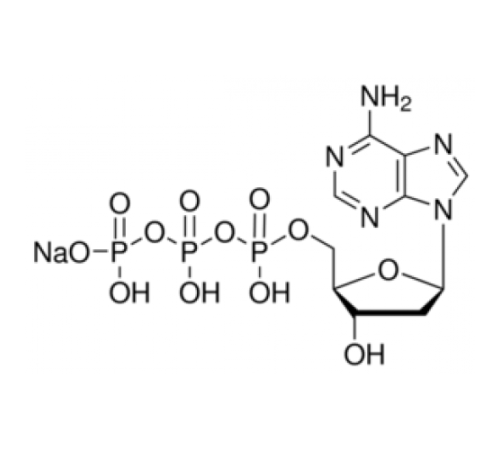 Раствор натриевой соли 2'-дезоксиаденозин-5'-трифосфата, 100 мкм, pH 7 Sigma D4788