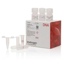 Набор PureLink Genomic Plant DNA Purification Kit, Thermo FS