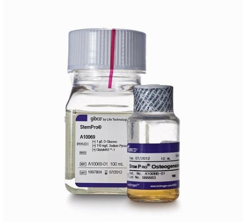 Набор StemPro Osteogenesis Differentiation Kit, для дифференцировки мезенхимальных стволовых клеток человека в остеоциты, Thermo FS