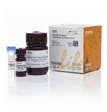 Набор реагентов Novex AP Mouse для хемилюминесцентной детекции, со вторичными антителами, 1 набор, Thermo FS