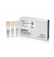 ДНК-полимераза AmpliTaq Gold DNA Polymerase LD (Low DNA) with Gold Buffer and MgCl2, Thermo FS
