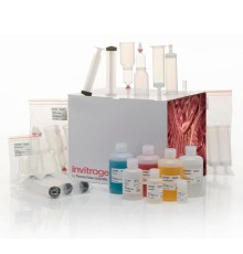 Набор PureLink Fast Low-Endotoxin Maxi Plasmid Purification Kit, Thermo FS