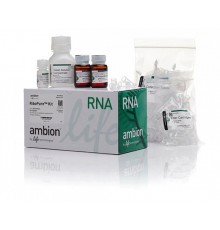 Набор RiboPure RNA Purification Ki, Thermo FS