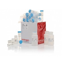 Набор JetQuick Blood and Cell Culture DNA Maxiprep Kit, Thermo FS